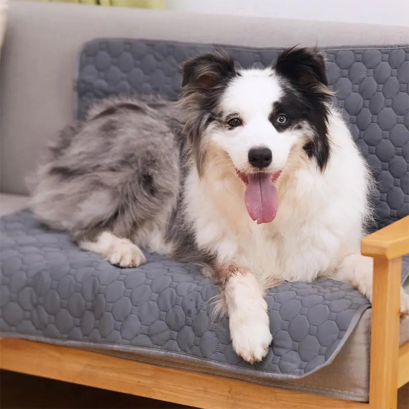 Washable Dog Pee Pad Reusable