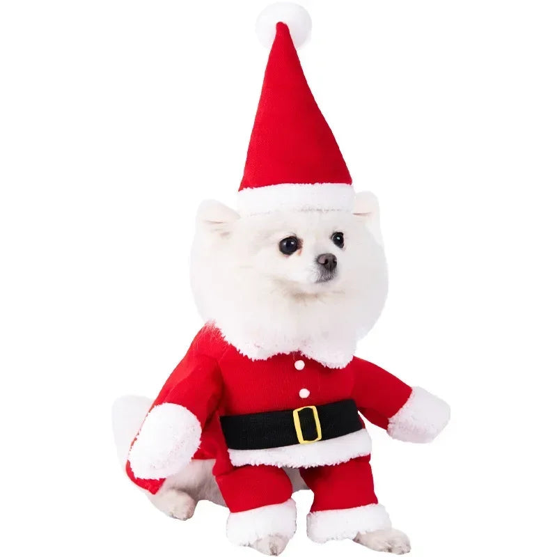 Pet Costume (Halloween)