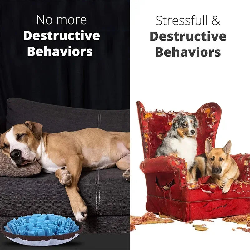 Pet Anti Choking/ Training Blanket