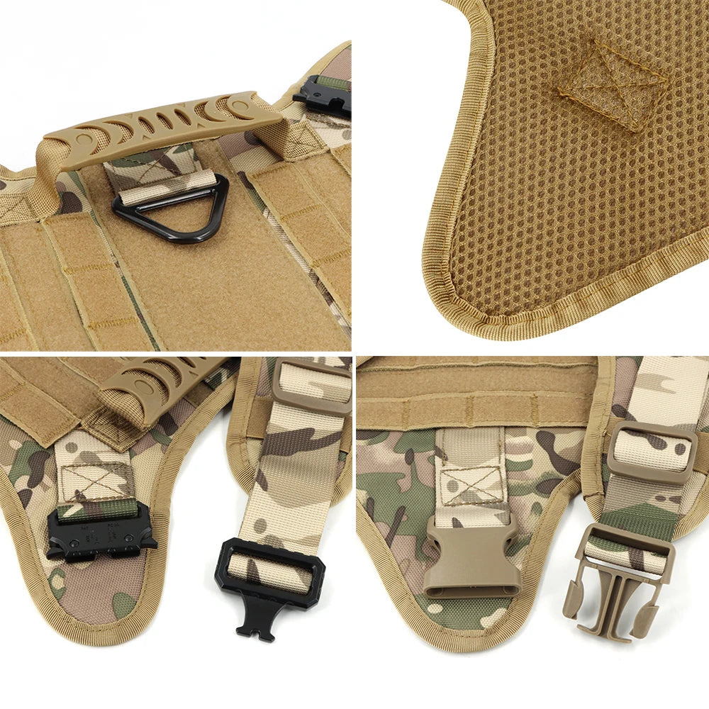 Large Dog Harness + Collar + Leash