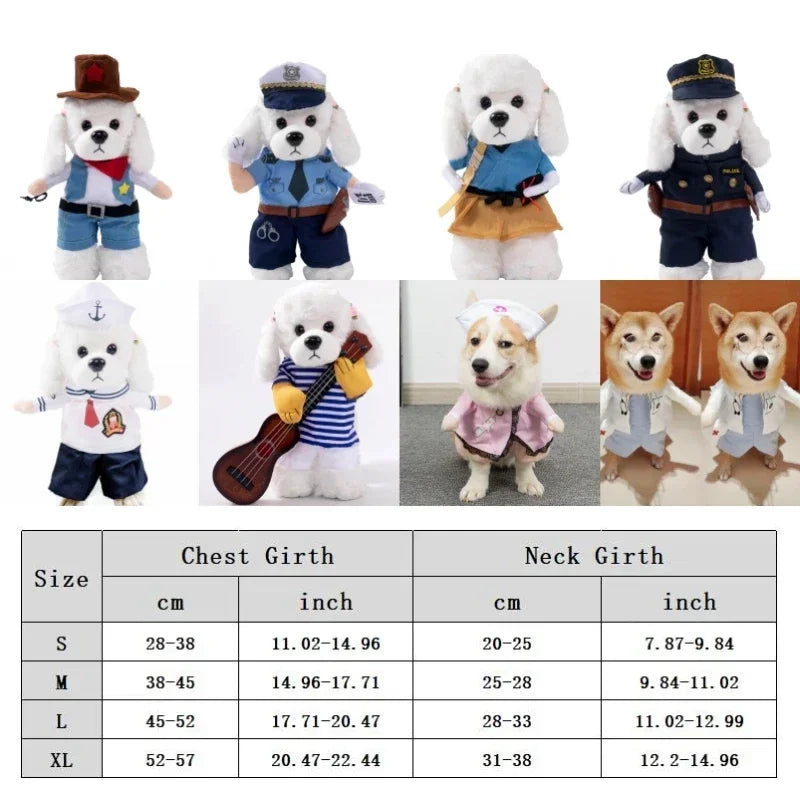Pet Costume (Halloween)