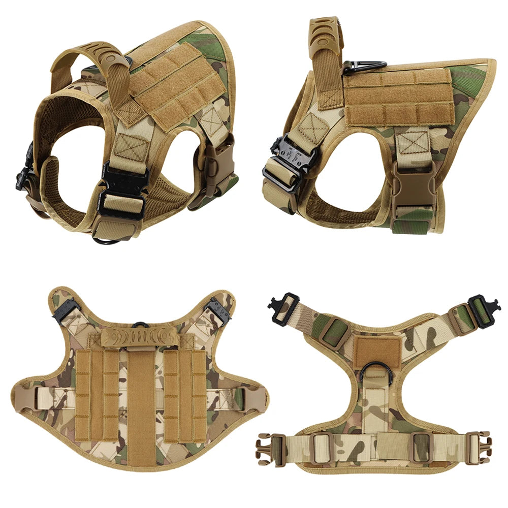 Large Dog Harness + Collar + Leash