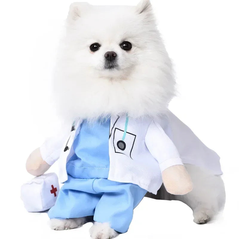 Pet Costume (Halloween)