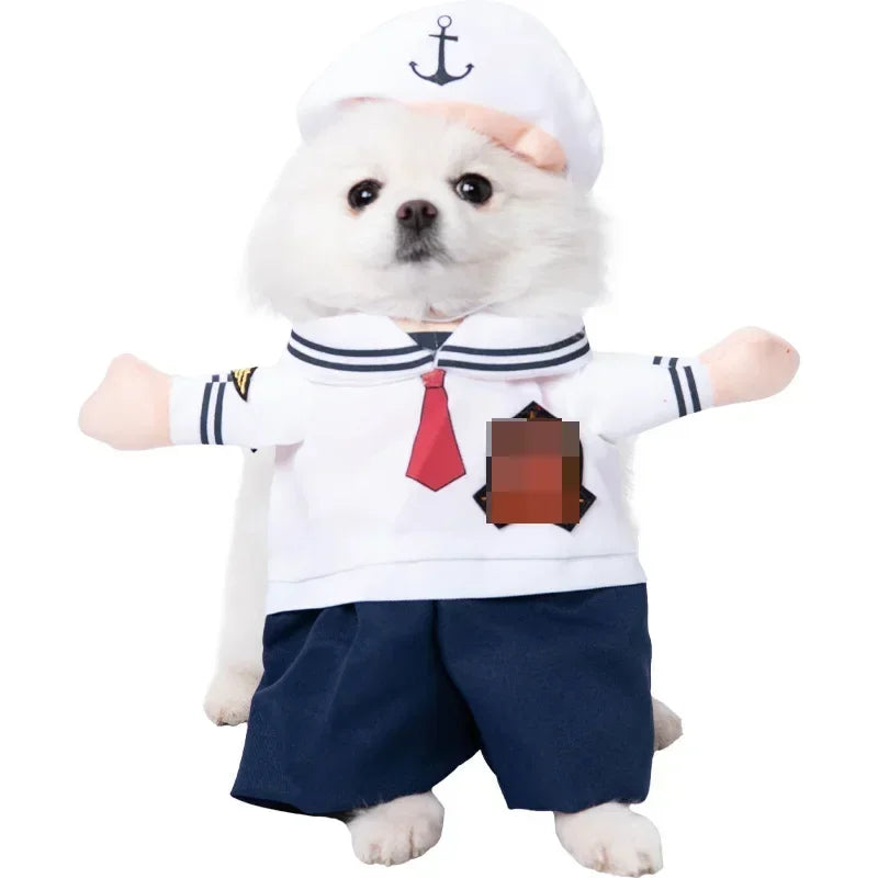 Pet Costume (Halloween)