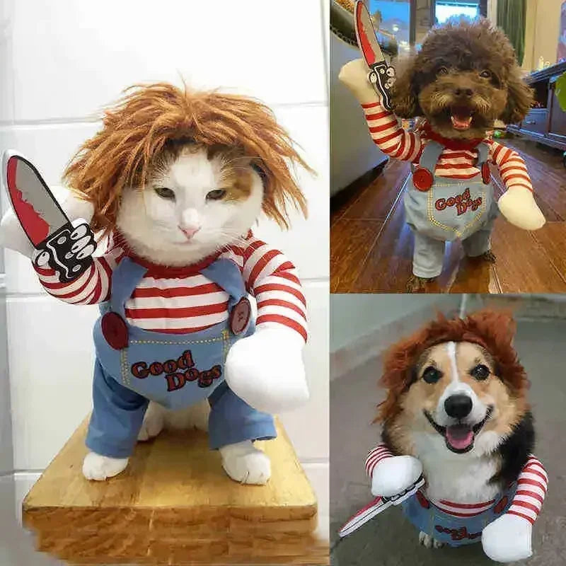 Pet Costume (Halloween)