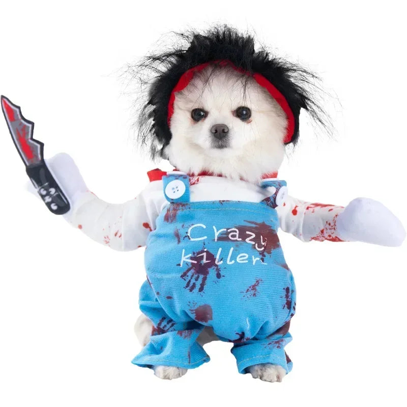 Pet Costume (Halloween)