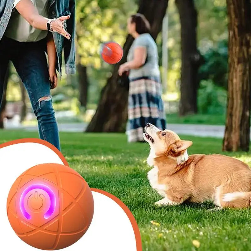 Automatic Rolling Ball Toy