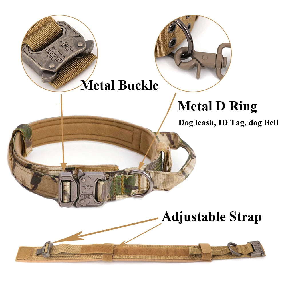 Large Dog Harness + Collar + Leash