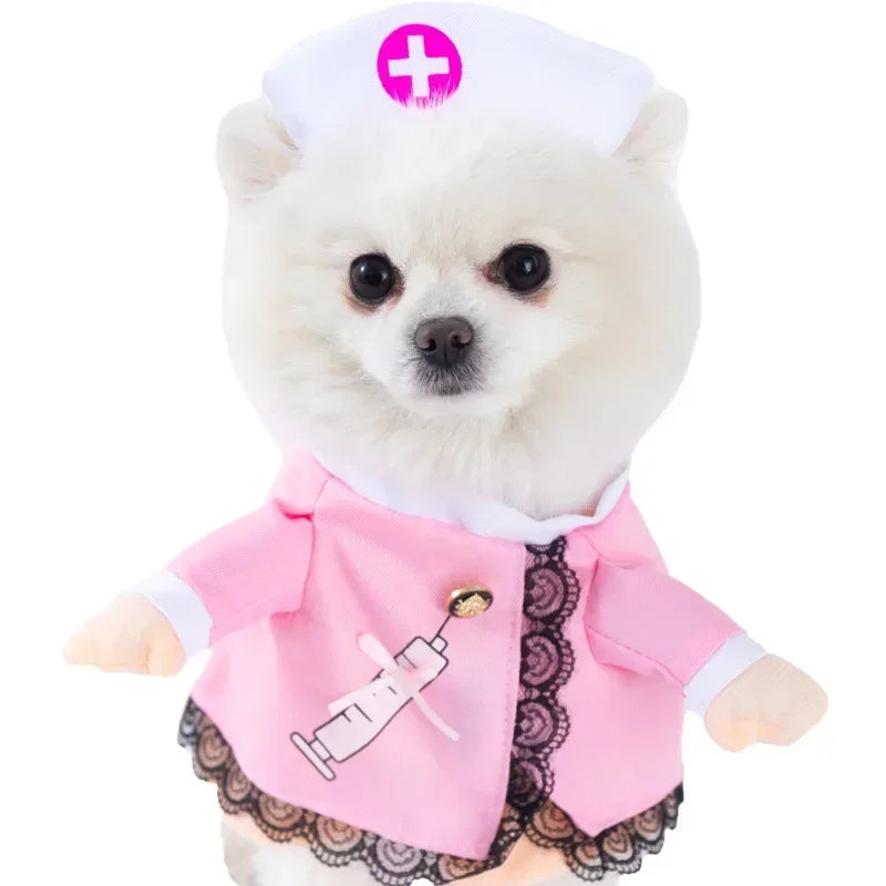 Pet Costume (Halloween)