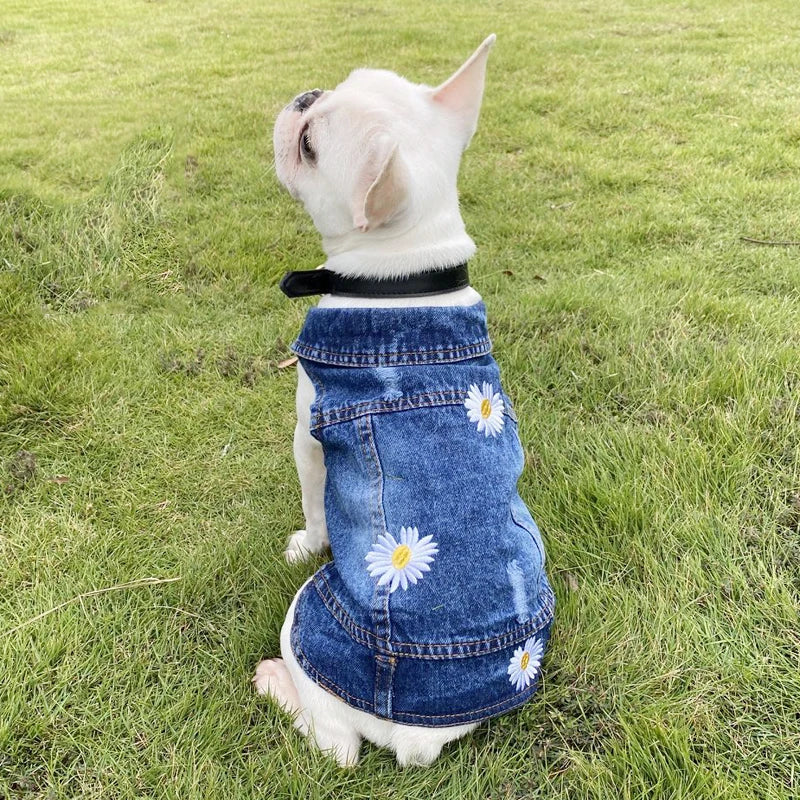 Super Cute Denim Pet Jacket