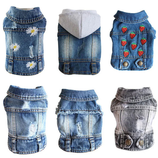 Super Cute Denim Pet Jacket