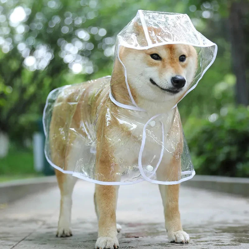 Pet Hooded Clear Raincoat