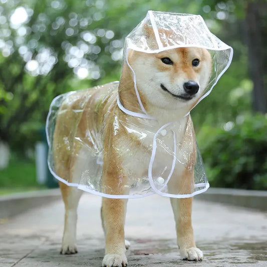 Pet Hooded Clear Raincoat