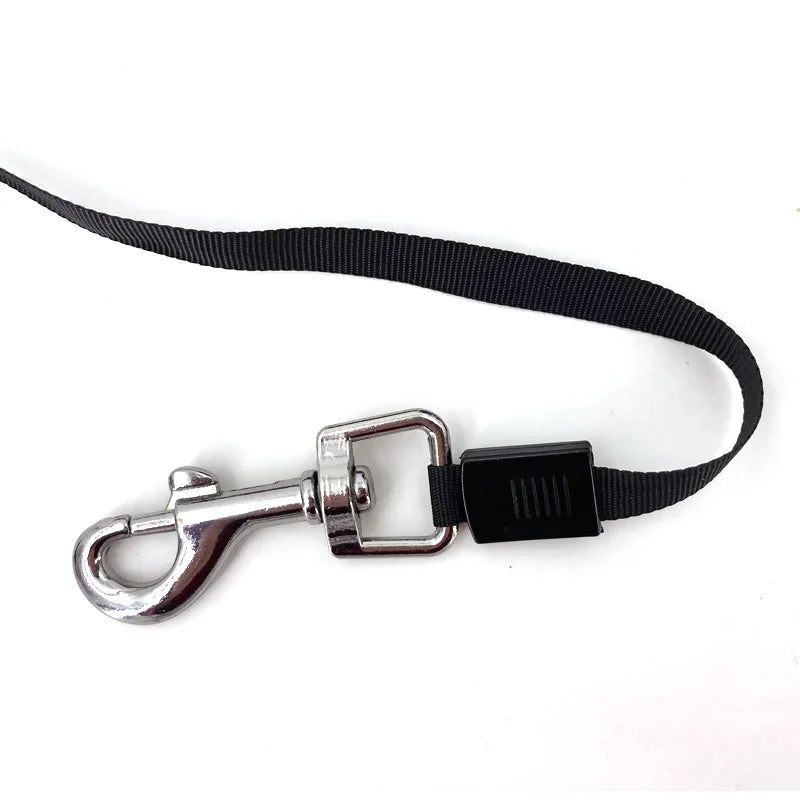 Retractable Dog Leash For Small Pet