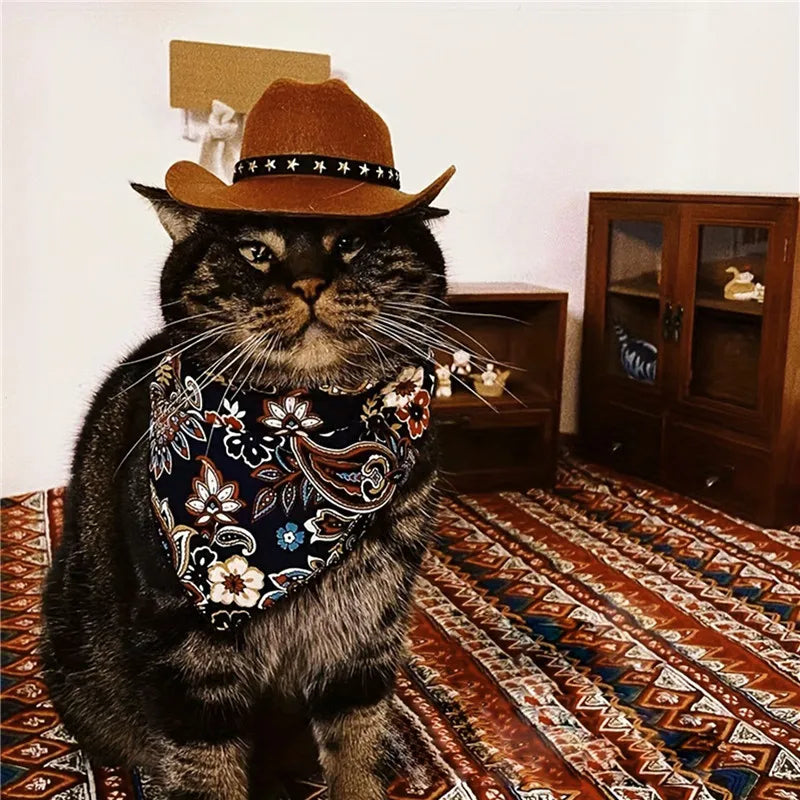 Cute Pet Cowboy Hat