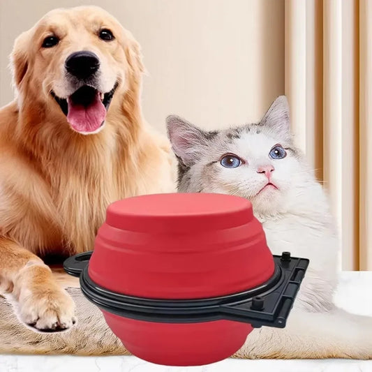 2-in-1 Foldable Dual Feeding Bowl