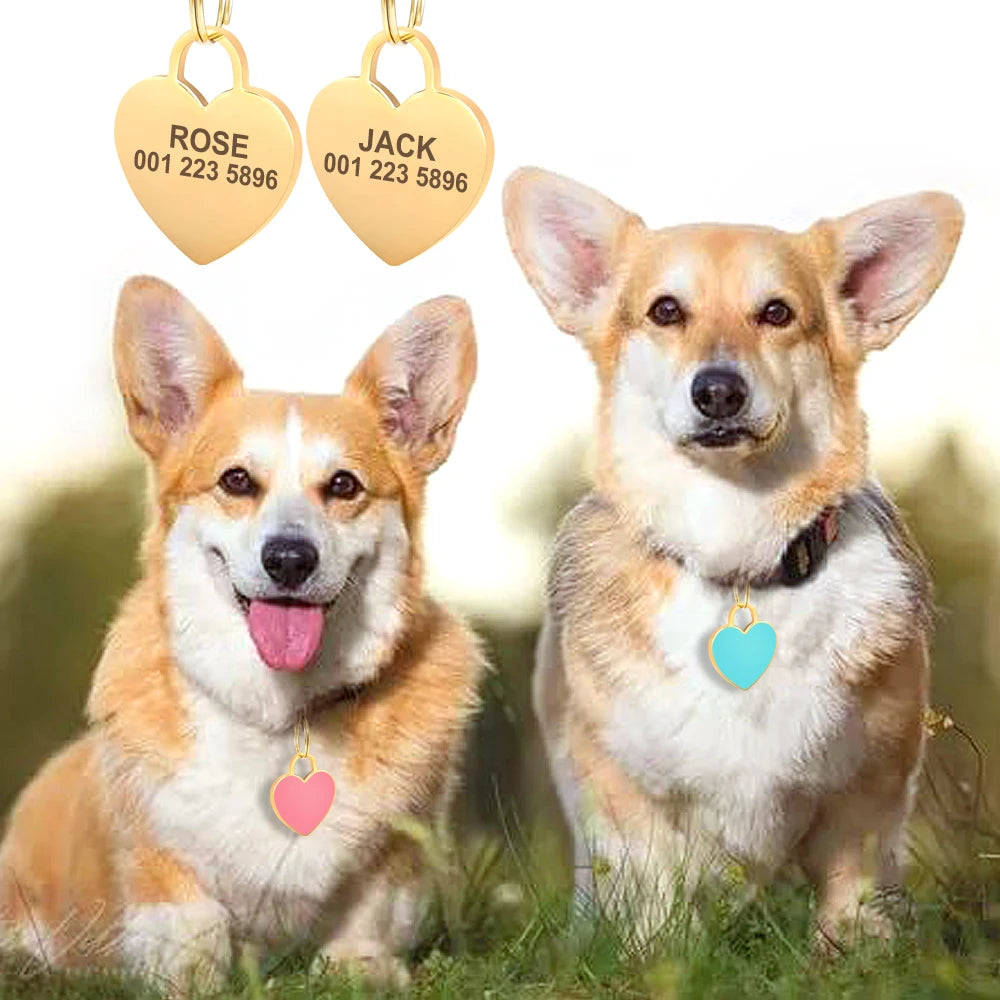 Blinged Out Personalized Pet ID Tag