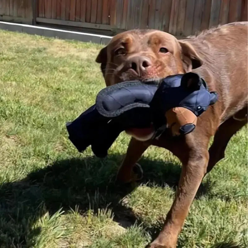 Indestructible Bear Plush Dog Squeaking