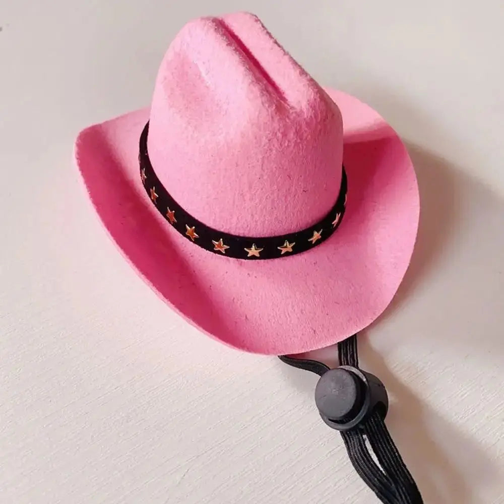 Stylish Pet Cowboy Hat
