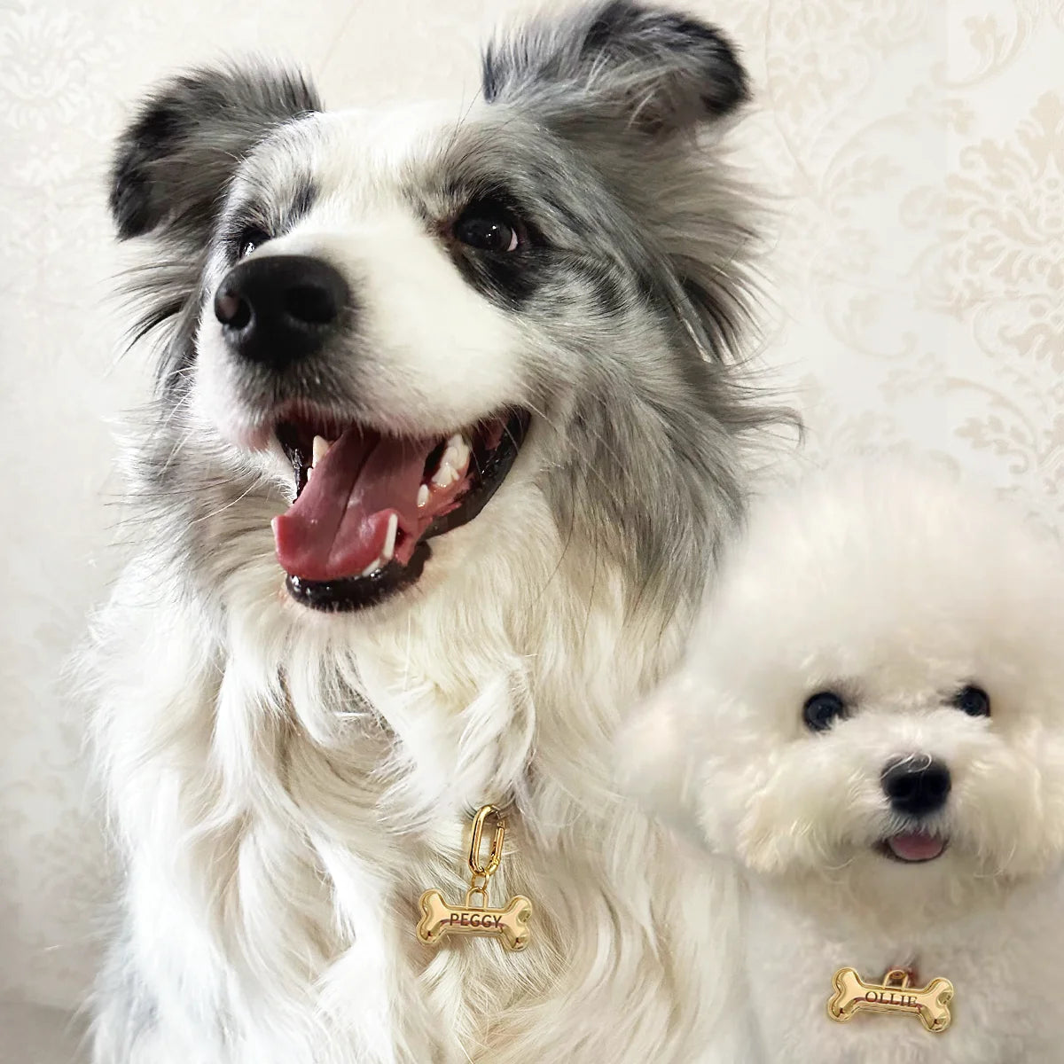 Memopaw Personalized Pet Name Tag