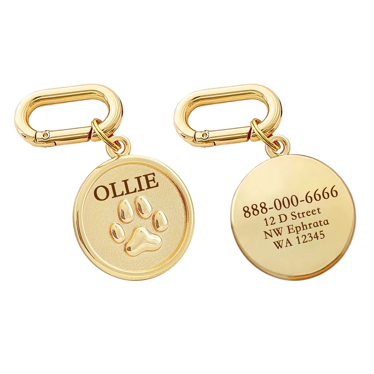 Memopaw Personalized Pet Name Tag