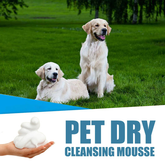 Pet Dry Shampoo