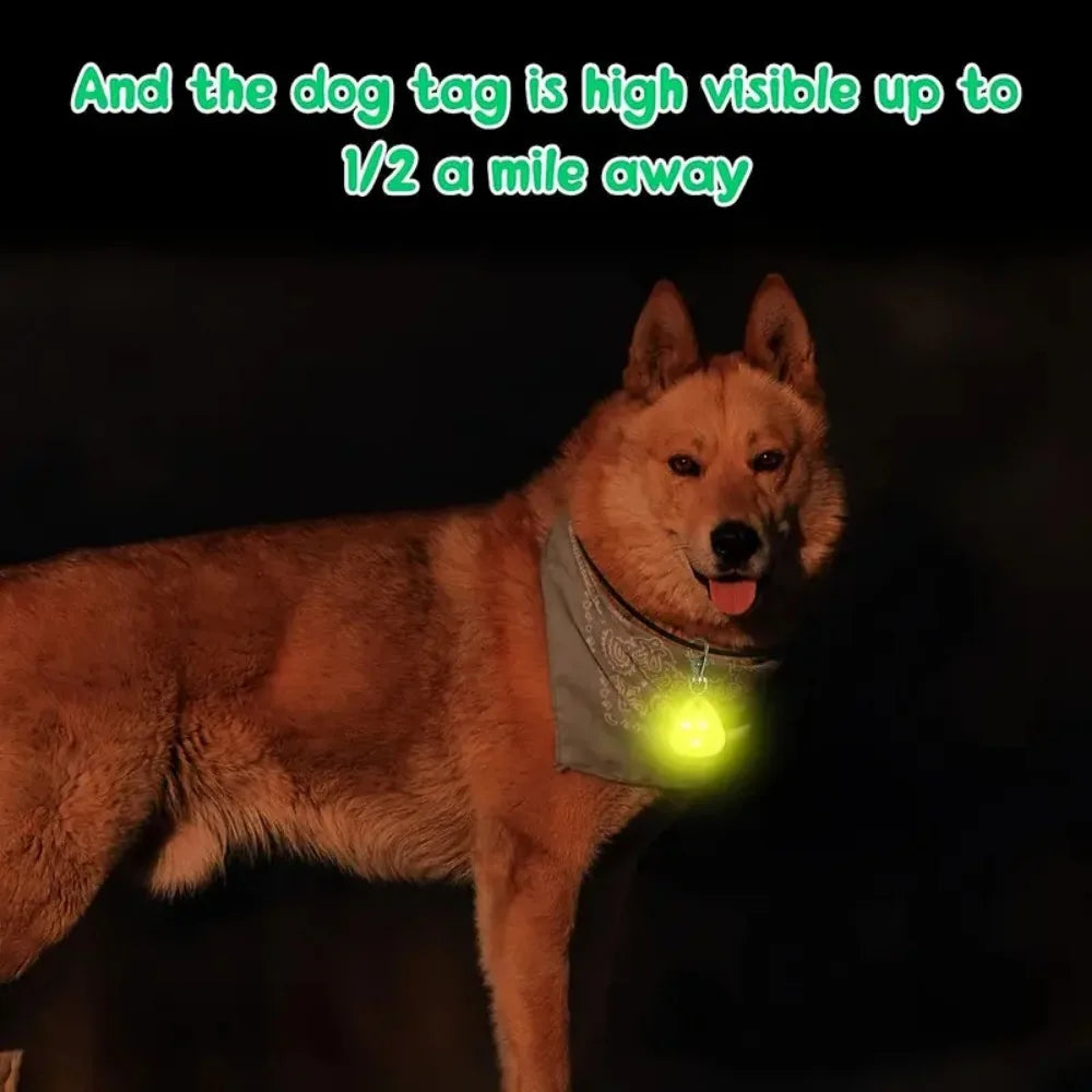 LED Light Pet Pendant