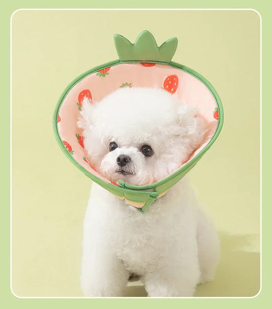 Fashionable Pet Cone of Shame