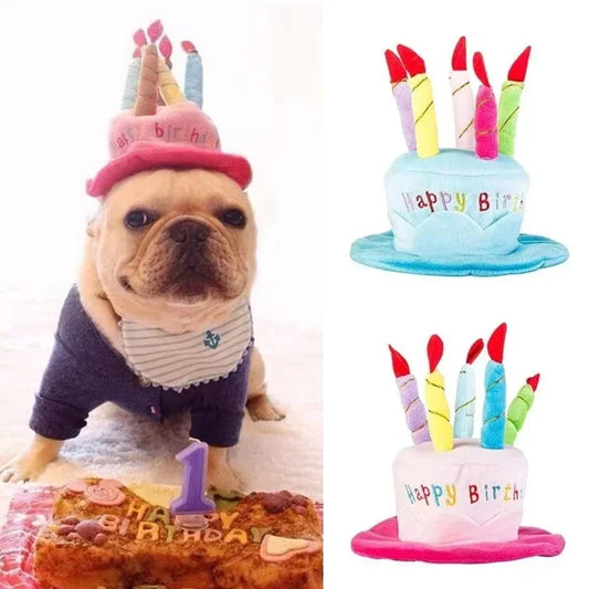 Celebrate Your Pet Birthday Cake Hat