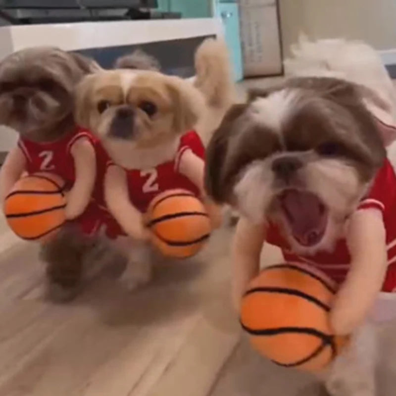 Funny Dog Basketball Costume