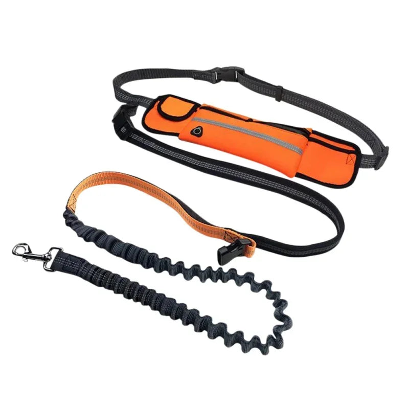 Hands Free Dog Leash with Zipper Pouch Reflective Bungee