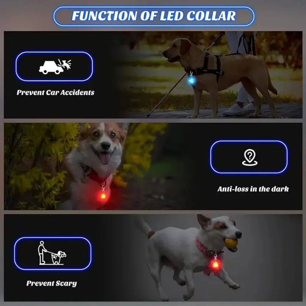 LED Light Pet Pendant