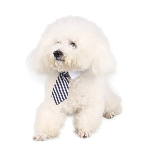 Like A Boss Adjustable Pet Neck Tie