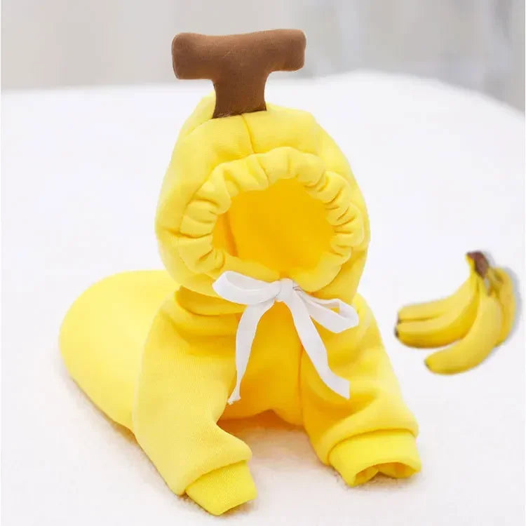 Silly Dog Hoodie