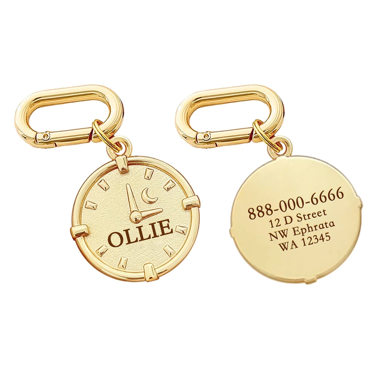 Memopaw Personalized Pet Name Tag