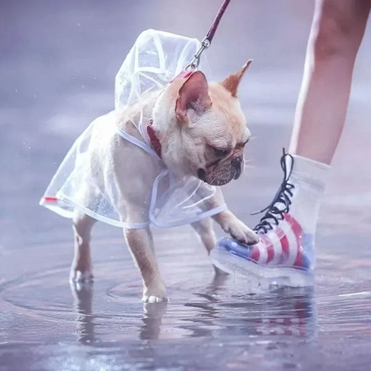 Hooded Pet Plastic Raincoat