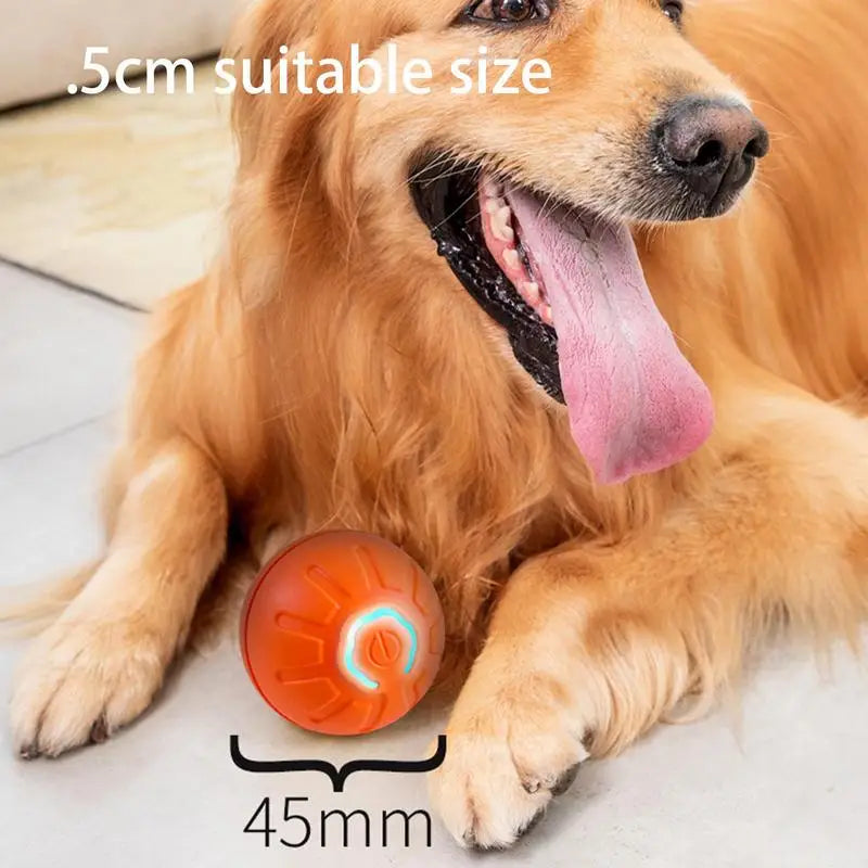 Entertaining Interactive Dog Toy