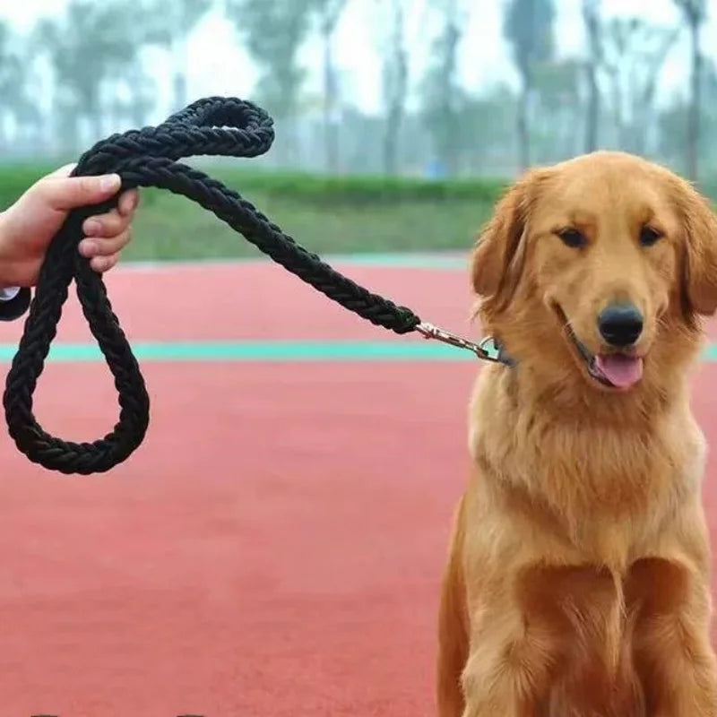 Large Nylon Braided Leash