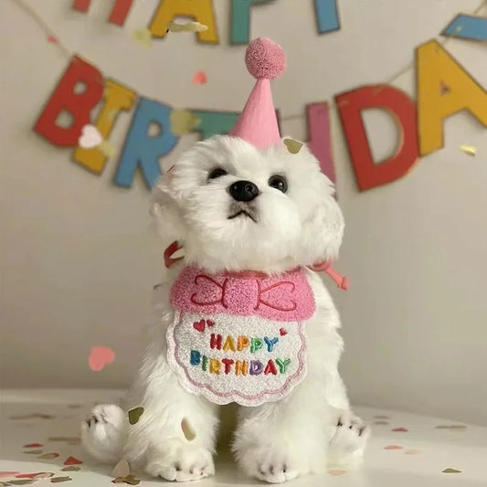 You are 1! Puppy Birthday Hat & Bandana Set