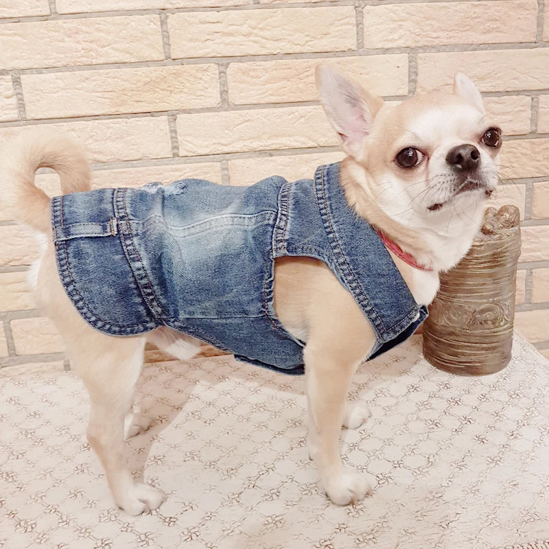 Super Cute Denim Pet Jacket