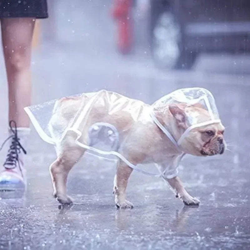 Hooded Pet Plastic Raincoat