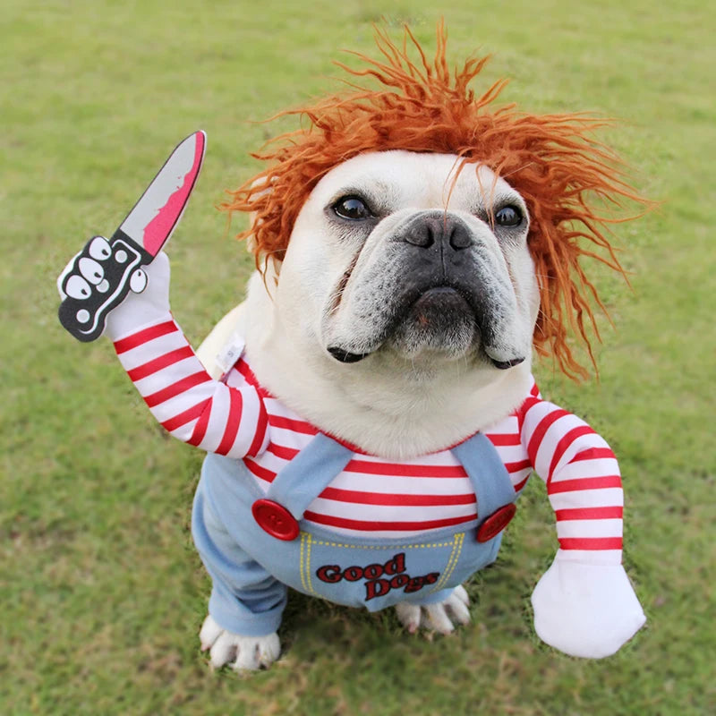 Funny Chucky-Like  Halloween Dog Costume