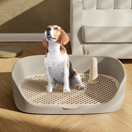 Portable Pet Potty Box