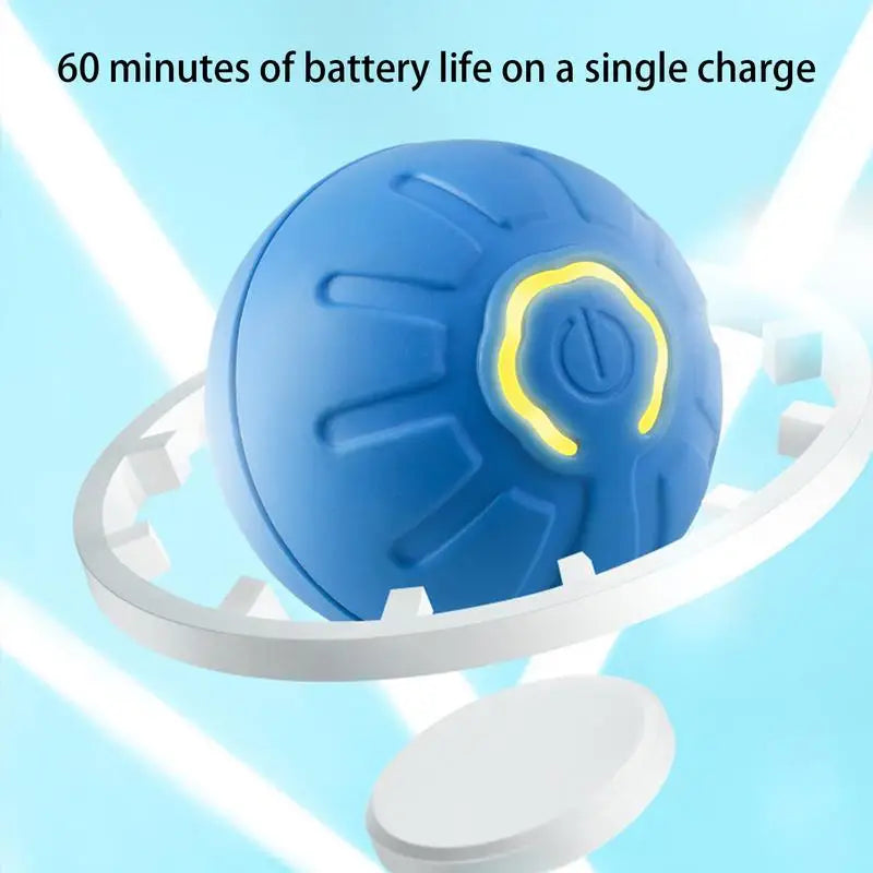 Entertaining Interactive Dog Toy