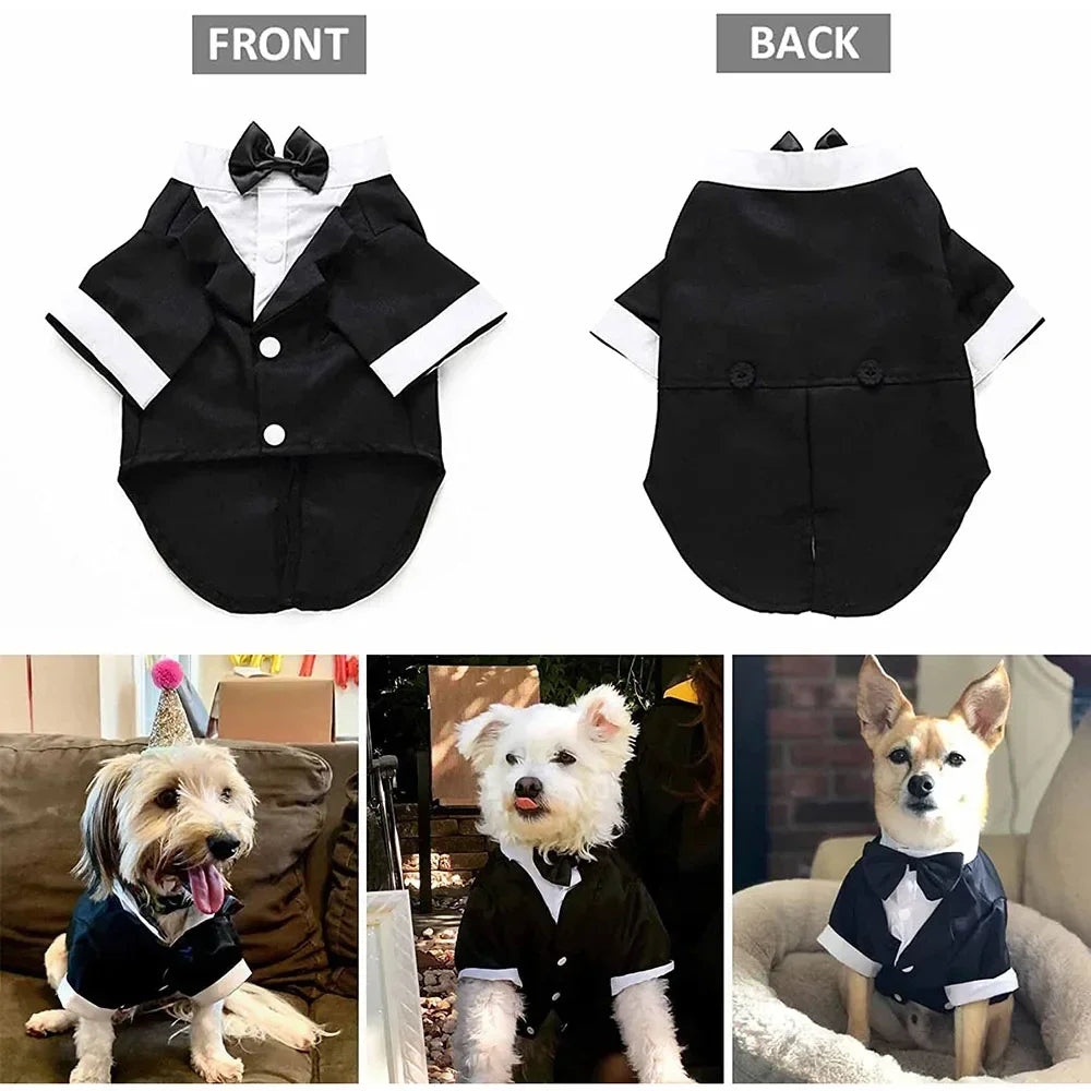 Dog Tuxedo Shirt