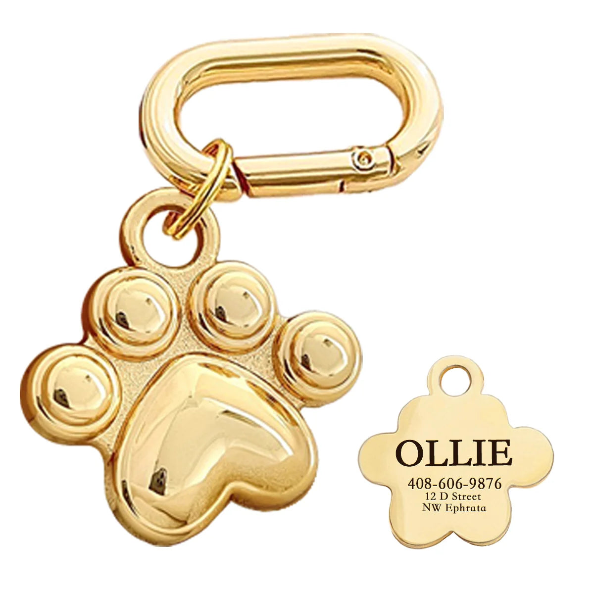 Memopaw Personalized Pet Name Tag