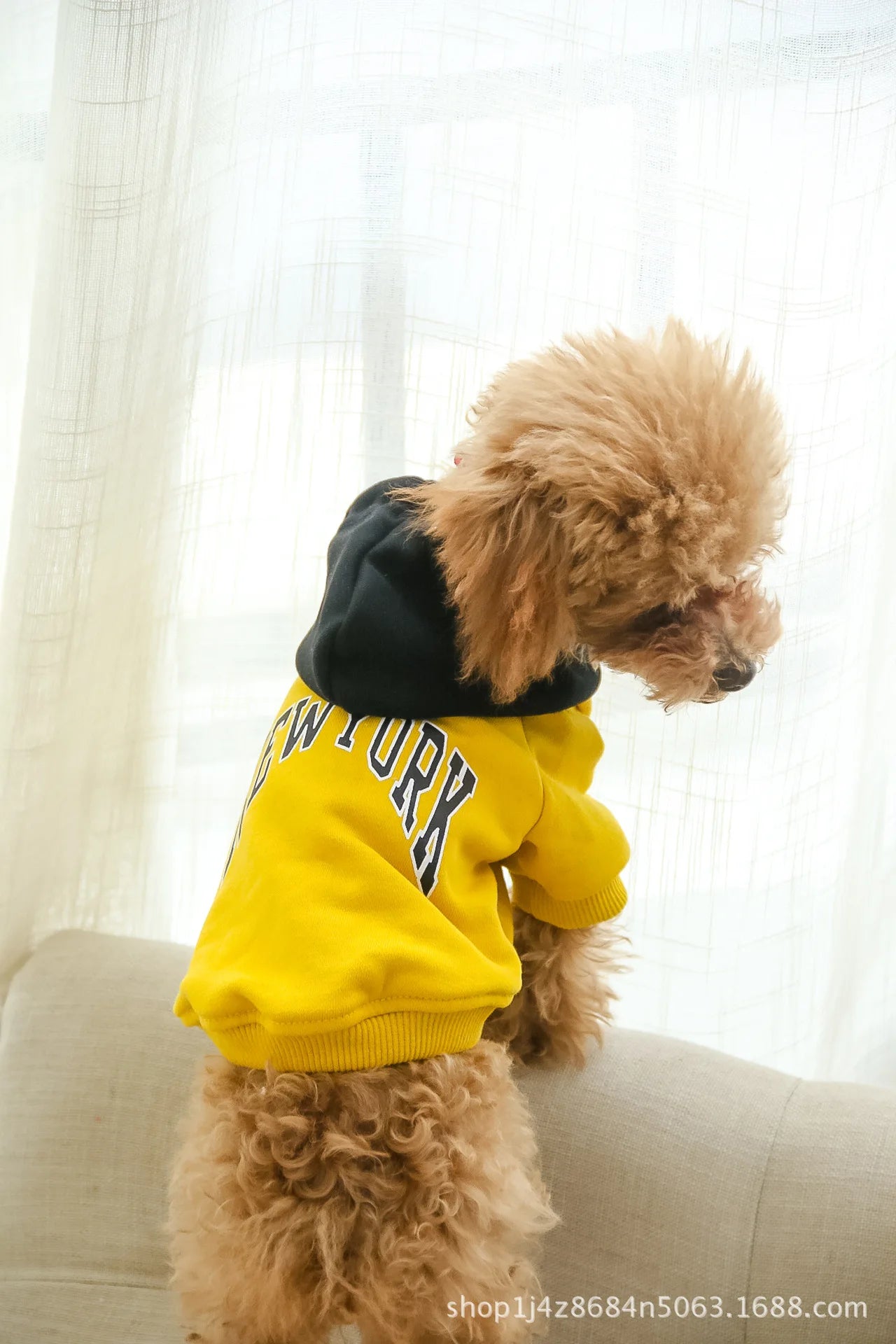 Matching Owner & Pet Hoodie New York
