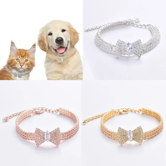 Pet Bling! Fashion Collar