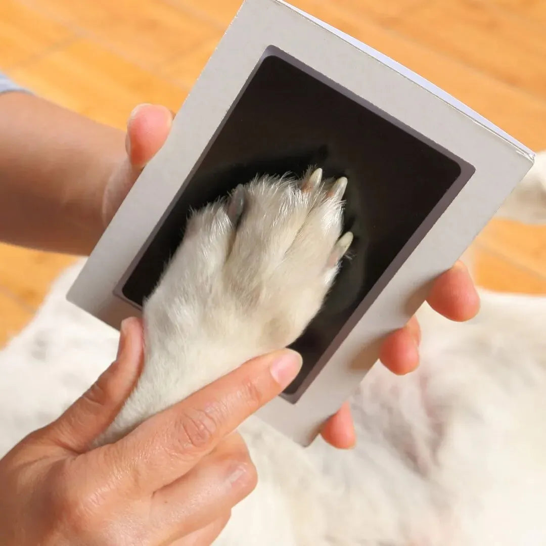 Paw Print Keepsake