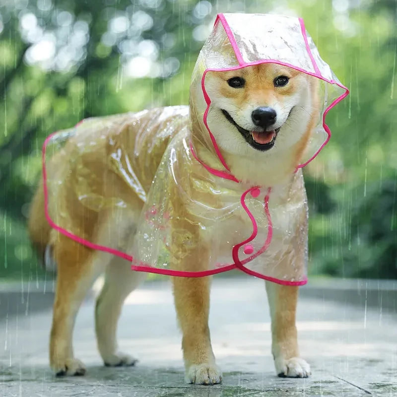Pet Hooded Clear Raincoat